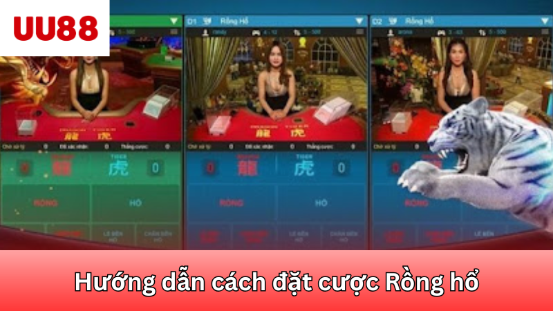 Hướng dẫn cách đặt cược Rồng hổ