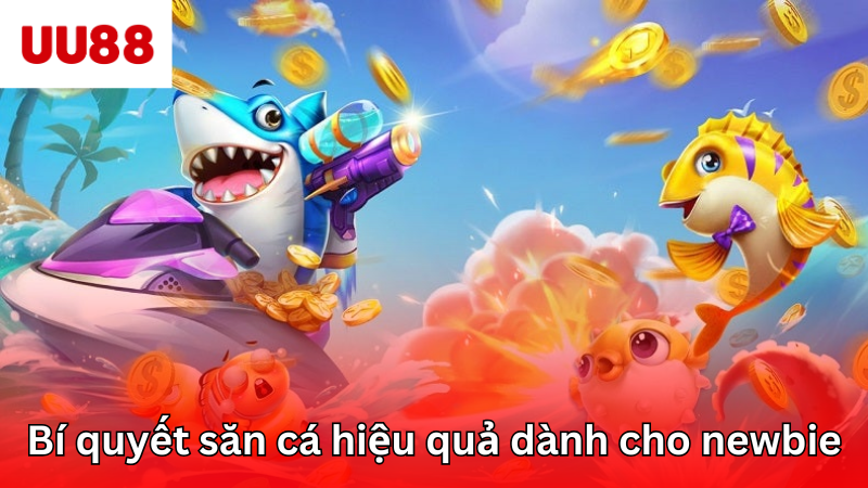 Bí quyết săn cá hiệu quả dành cho newbie